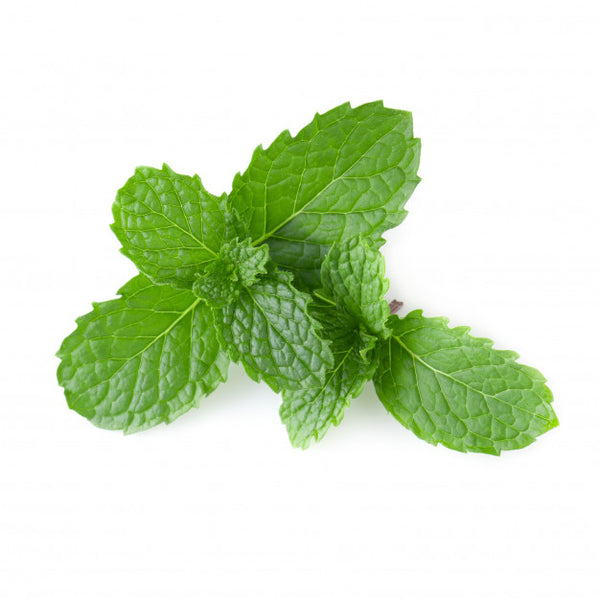 mint oil sri lanka